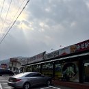 홍천양념닭갈비