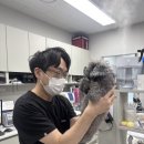 정직 동물병원 이미지