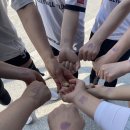 배구목장 이미지