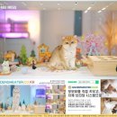 숲속고양이 이미지