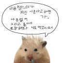 우리미야