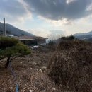 옥천면보건지소 이미지