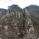 들꽃피는 아침풍경 | 가볼만한 충북여행지 괴산 쌍곡계곡 소금강휴게소 아름답다