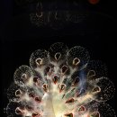 재미난박물관 이미지