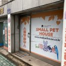 스몰펫하우스 | 스몰펫하우스 부산 소동물 햄스터 기니피그 토끼 앵무새 분양 저빌 입양