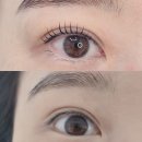 당하2차풍림아이원아파트경로당 | 검단속눈썹펌리뷰뷰맛집 속눈썹 파마 꼼꼼하게 잘하는 당하동 폼폼 속눈썹펌