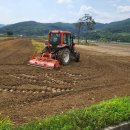 하동북천코스모스메밀꽃 영농조합법인 이미지