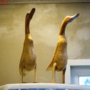 길가온삼계탕 이미지