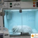 그랜드벳동물병원 이미지