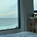 스테이하몽 이미지