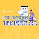 디에스솔루션즈(주)