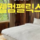 웰컴 펠릭스 이미지