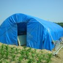 이천단월초교 이미지