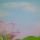 씨아이유 이미지