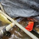 모터하우스 이미지