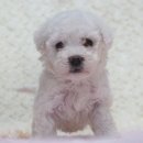 은아농장 이미지