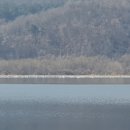 벌말 도당굿 및 도당 | 양수역, 두물머리, 북한강철교,운길산역 길을 걷다