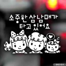 삼남매 - 거제시 | 삼남매