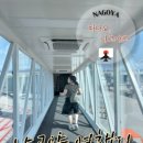 스카이코스메틱 | 3박4일⭐️ㅣDAY1-(1)제주항공 나고야주부국제공항 2터미널에서 사카에 더비나고야 뮤스카이 JR노선 탑승후기