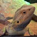 자연생태공원 자연생태박물관 이미지