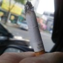 가자낚시 이미지