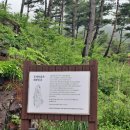 경남 청년도전지원사업 1박2일 워크숍 후기 (산청동의보감촌)