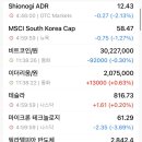 엠에스에스지