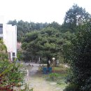 제주대학교 (제대아파트방면) | [제대 가는 길] 편안한 엔틱감성의 제주대학교 근처 카페