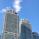 강남-137 이미지