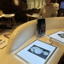 시드니동물병원 | 🇦🇺 시드니 가볼만한 곳 : 호주 박물관 (가격, 아이랑, 내돈내산 후기)