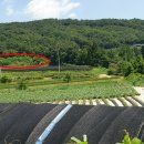 상구보건진료소 이미지