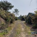 표선리-14 이미지