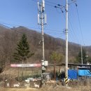 사랑쉼터의 집 | 용인 유기견보호소 레인보우쉼터 봉사 후기, 봉사신청 방법, 준비물