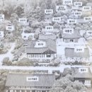 진영당 | [공유] 선암사 선암매와 대한민국 4대 매화-... https://story.kakao.com/_aEc7L/FSzq5rQWWOA