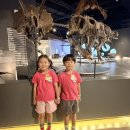 🦖 타임슬립! 공룡시대 대탐험🦕🦖 이미지