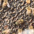 이용식농장 이미지