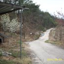 양지농장 이미지