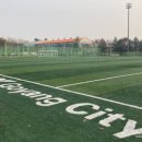 대화인조구장 이미지