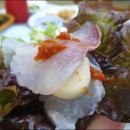 동해안회센타 이미지