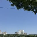 교촌치킨동촌점 | [공지] 대구) 동촌유원지 피크닉 꿀자리 + 배달 후기 (돗자리 필수)