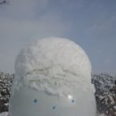 황칠농장 이미지