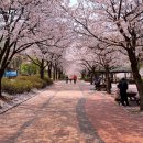 원적산체육공원 이미지