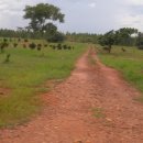 찬송농장 이미지