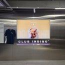 클럽인디고 | 당산헬스장 클럽 인디고 그룹PT 받고 온 운동 후기입니다.