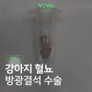 비바동물병원 이미지