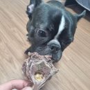 제이스맘마 이미지