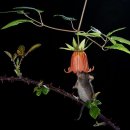 NPOTY, 자연 사진공모전 수상작들 Nature Photographer of The Year 이미지