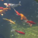 바램이머무는곳 이미지