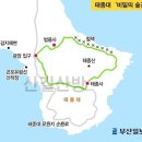 부산 태종대[수국축제] 비밀의숲길 트레킹 안내(6월27일) 이미지