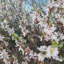 숲속한우마을 이미지